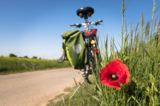 ▷ Aparcamiento Bicicletas en Corregidor Francisco de Molina, Málaga 1 bicicletas 29