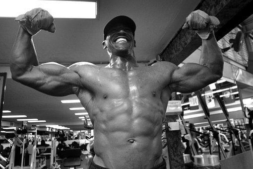 ▷ Zonas De Musculación en Instalaciones Deportivas En Bda. Santa Cristina en Málaga 1 material-gimnasia